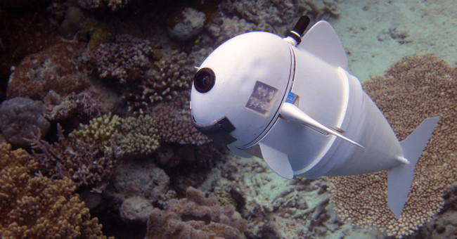 The robot fish can swim at a depth of 15m without being detected