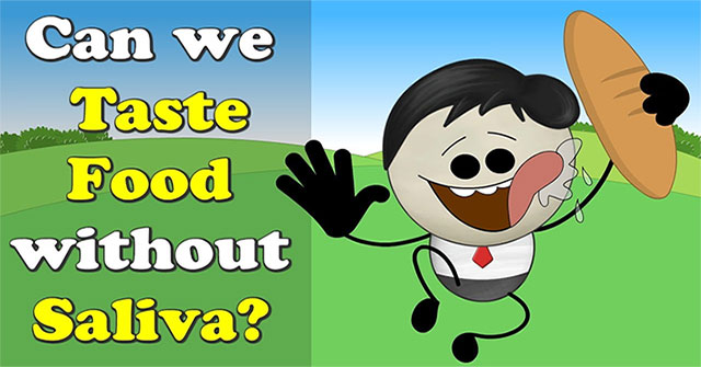 The role of saliva in sensing food taste
