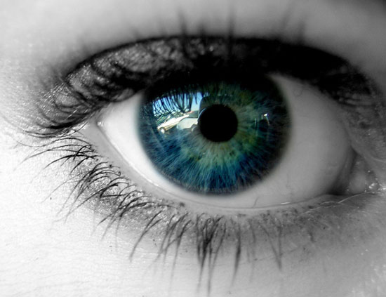 The role of vitamin c in the eyes and brain