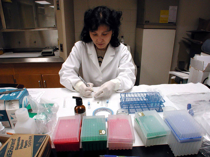 The role of women in science is increasing