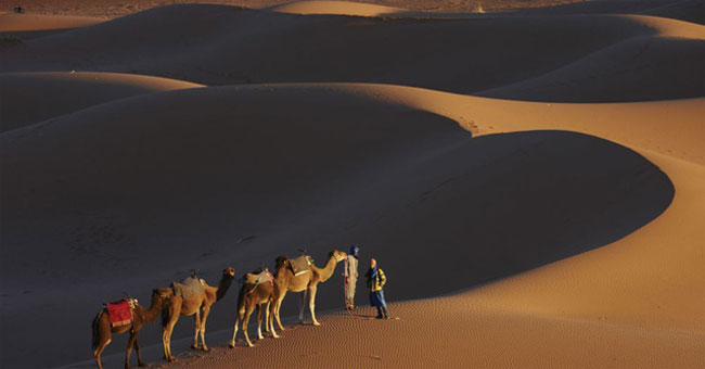 The Sahara Desert can turn into a giant power plant
