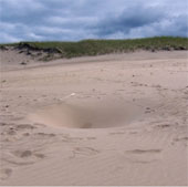 The sand pit