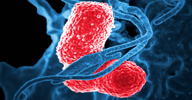 The scary truth about antibiotic-resistant bacteria