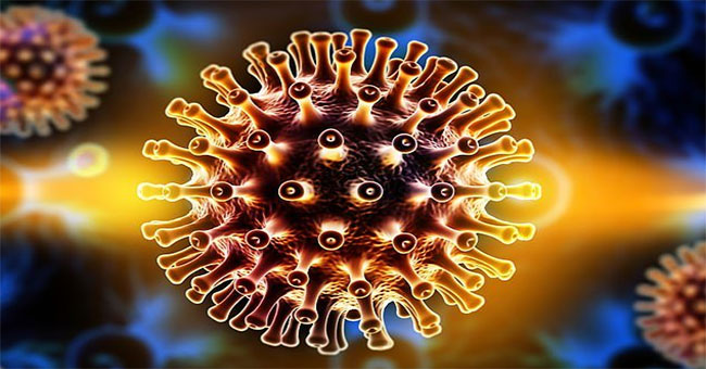 The scientist announced that he had destroyed the HIV-infected cells