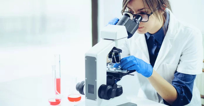 The scientist is easy to