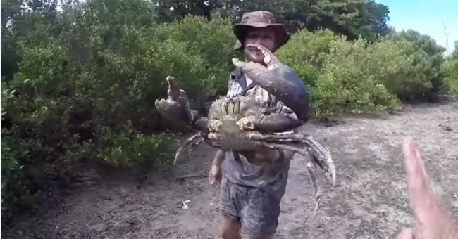 The screen catches the giant 'crab monster' that makes viewers look up on their hair