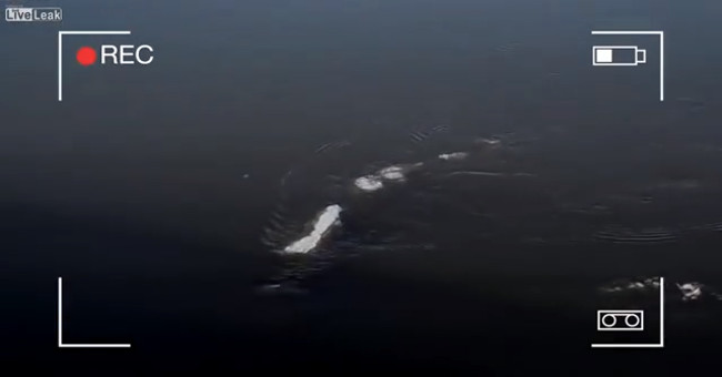 The sea creature suspects them with the Loch Ness monster in Alaska