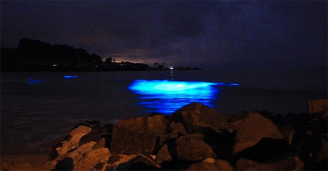 The sea water just touches emits blue light