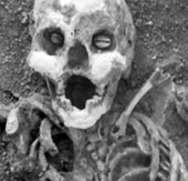 The secret of the remains of 12,000 years old