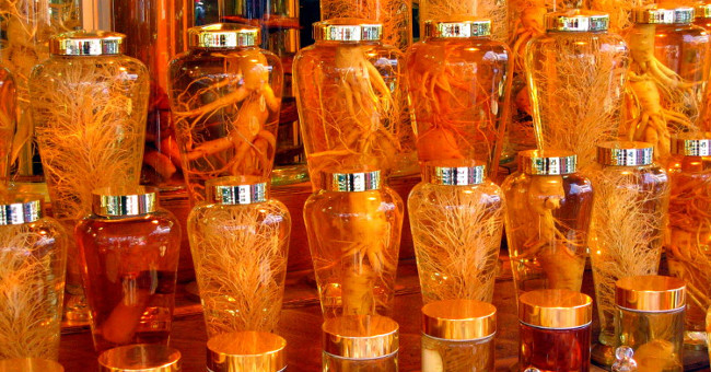 The secret of world-class ginseng production, collecting billions of Korean dollars