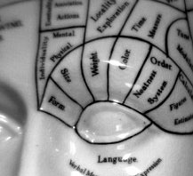 The secret to having many friends lies in the frontal brain region