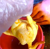 The secret to staying away from chicken-flavored chicken