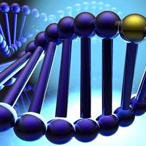 The secrets hidden in the human genome