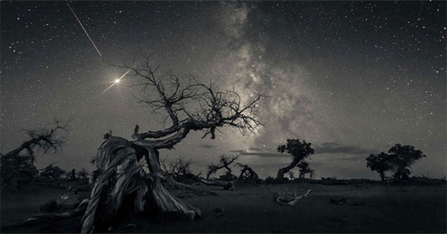 The series of photos won the Astronomy Photography 2019 to make viewers ecstatic because of the beauty of the universe