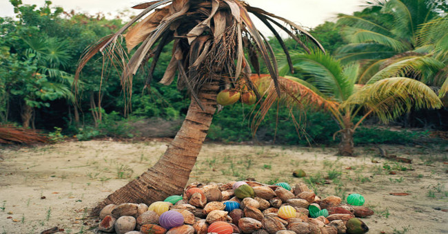 The set of images of the earth-covered garbage awakening million hearts