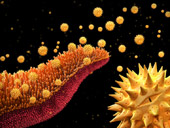 The shocking images of medical science achievements in 2015