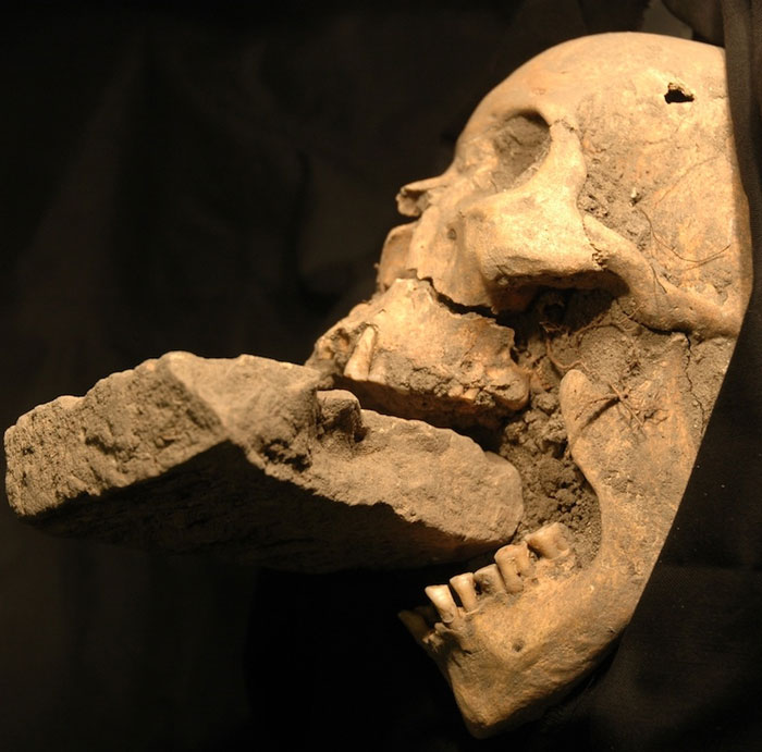 The skeleton of the 16th century was stuffed with vampire bricks?