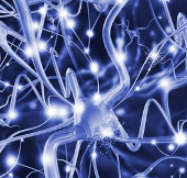 The skin can help restore a patient with multiple sclerosis