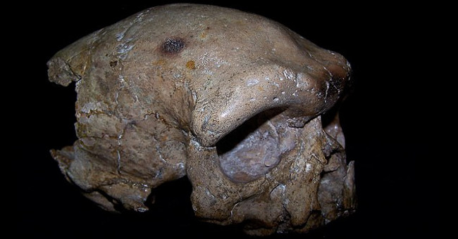The skull found in China can rewrite human history