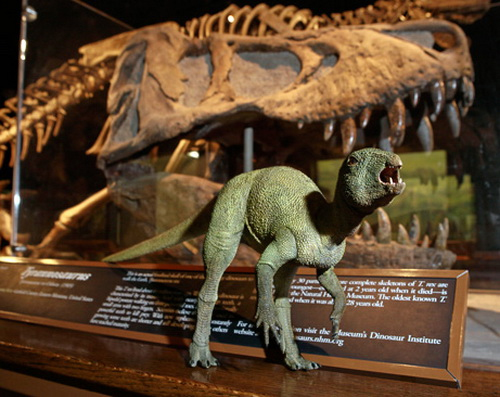 The smallest dinosaur in North America