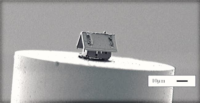 The smallest house in the world is only observed with a microscope