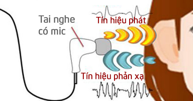 The sound reflected in the ear is used to identify the user