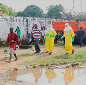 The source of spreading Ebola virus in Liberia