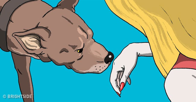 The special ability of dogs - fleetingly knows who is bad, good person