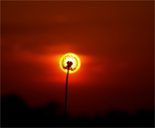 The spectacular moment coincides with incredible