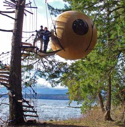 The spherical house hangs on the tree