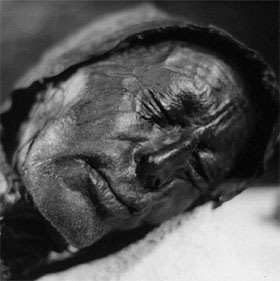 The spotless beauty of swamp mummies