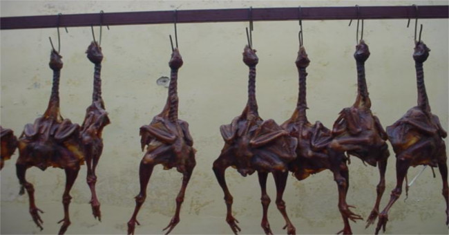 The story of the cuisine