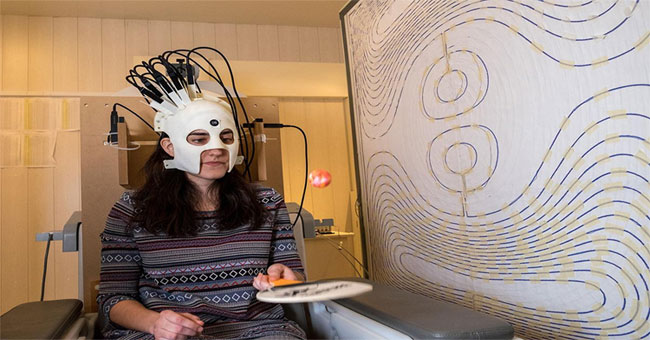 The strange hat measured from the field in the human brain