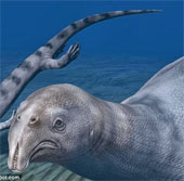 The strange reptile has hundreds of needle-like teeth
