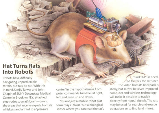 The study successfully created artificial cerebellum