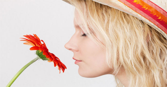 The sudden 'secret' of the human nose