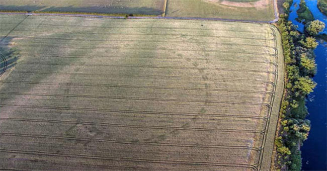 The summer heat wave reveals a 5,000-year-old circle in Ireland