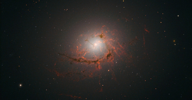 The supermassive black hole 'carnivores' from the inside