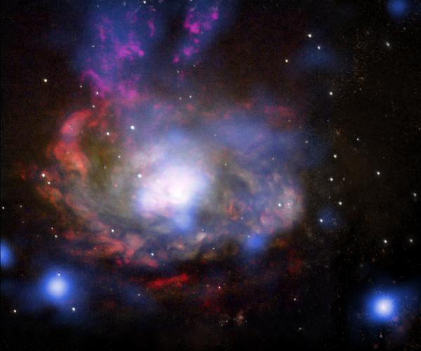 The supernova of the wild cousin of SN 1987A