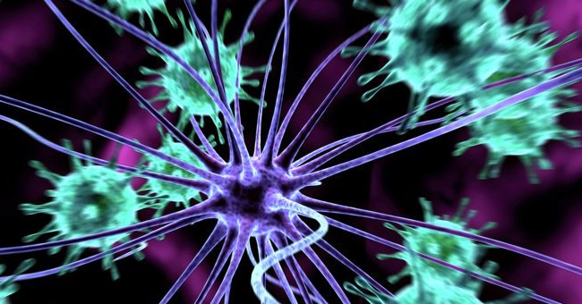 The supposedly useless immune cells are actually weapons against HIV