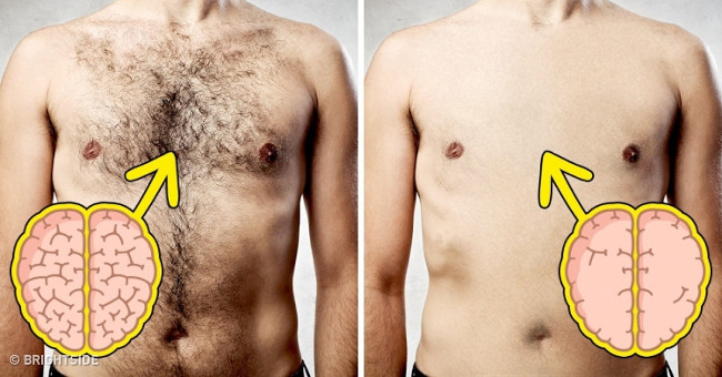 The surprising truth: the more male the male, the more intelligent he will be