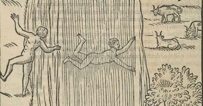 The swimming book of the 16th century with many useful knowledge, helps to survive when entering the water