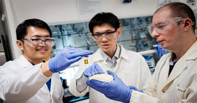 The team turns plastic waste into acid that can generate electricity