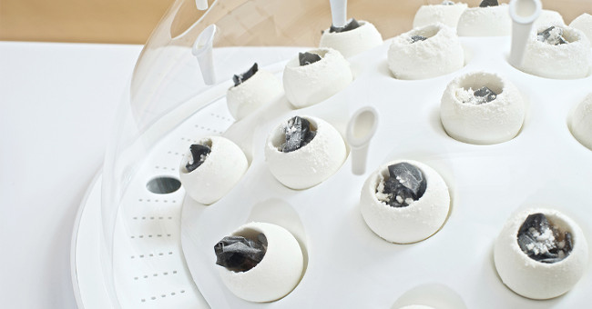 The technology turns plastic waste into edible fungus