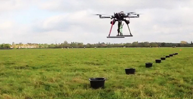 The technology uses Drone to plant trees, which can grow 100,000 trees in just 1 day