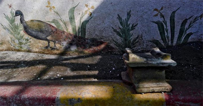 The temple is dedicated to Rome as if it was under volcanic ash 2,000 years