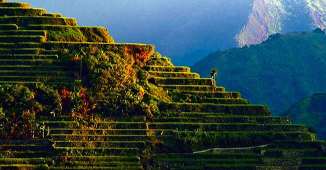 The terraces at Philippine Cordilleras