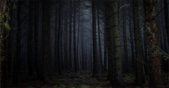 The theory of 'Dark Forest' and why we still haven't found aliens