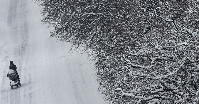 The thickest snow fell in the century, Moscow sunk in the white winter