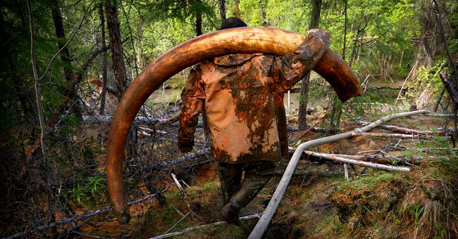 The thousand-dollar mammoth remains buried in ancient ice